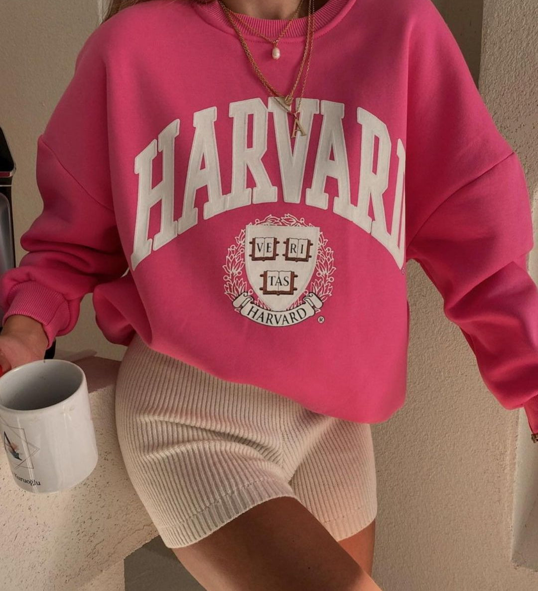 Velvet Touch Harvard Crewneck Sweatshirt